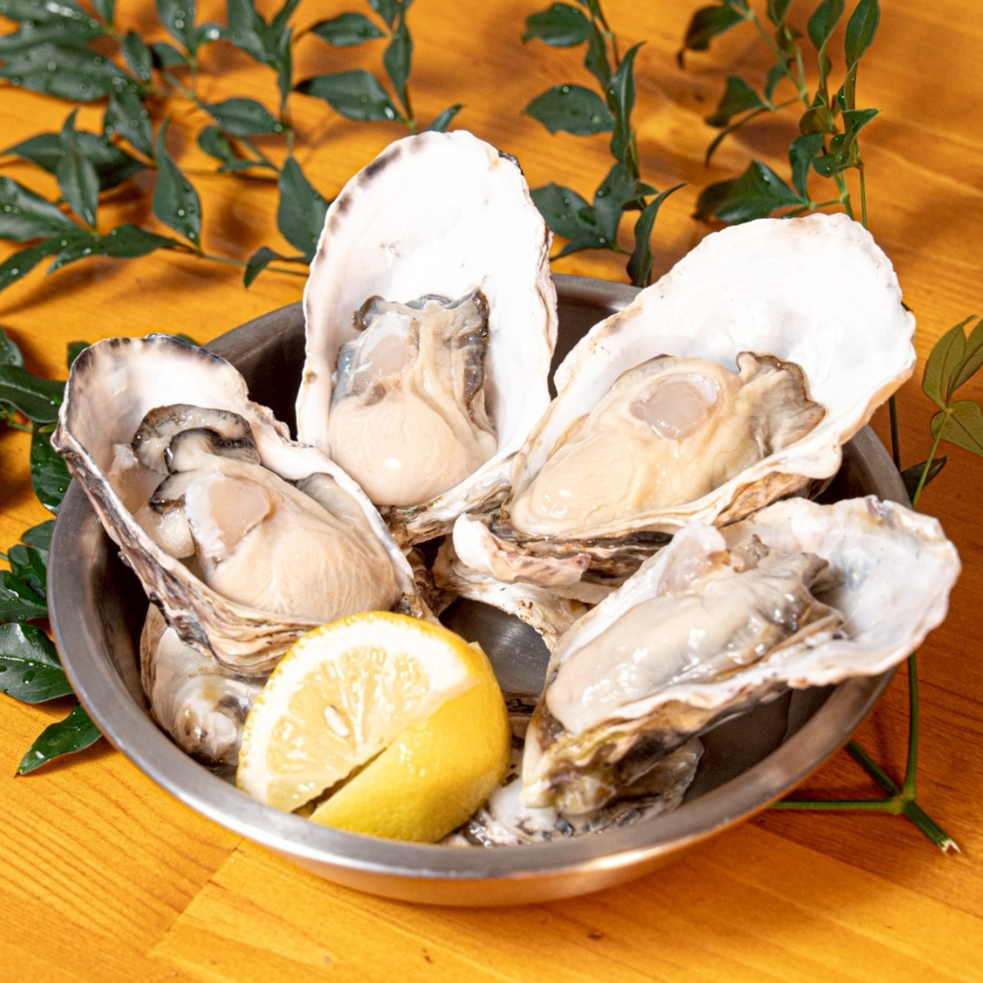 生牡蠣